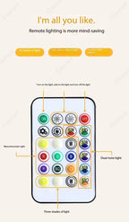 High Footed Desk Lamp